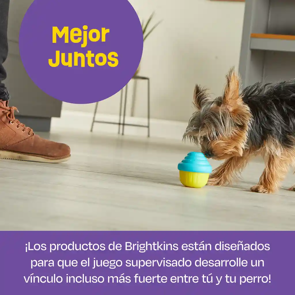 Dispensador De Comida Para Perro - Forma Cupcake Pequeño