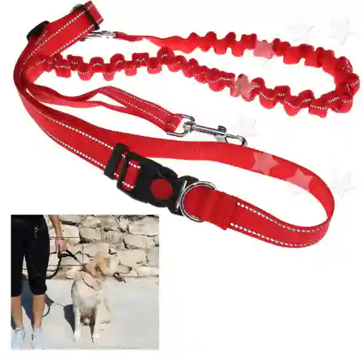 Correa Color Rojo Arnes Manos Libres Ajustable Para Pasear Con Tu Mascota