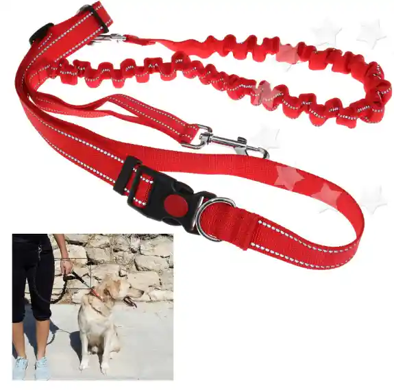 Correa Color Rojo Arnes Manos Libres Ajustable Para Pasear Con Tu Mascota