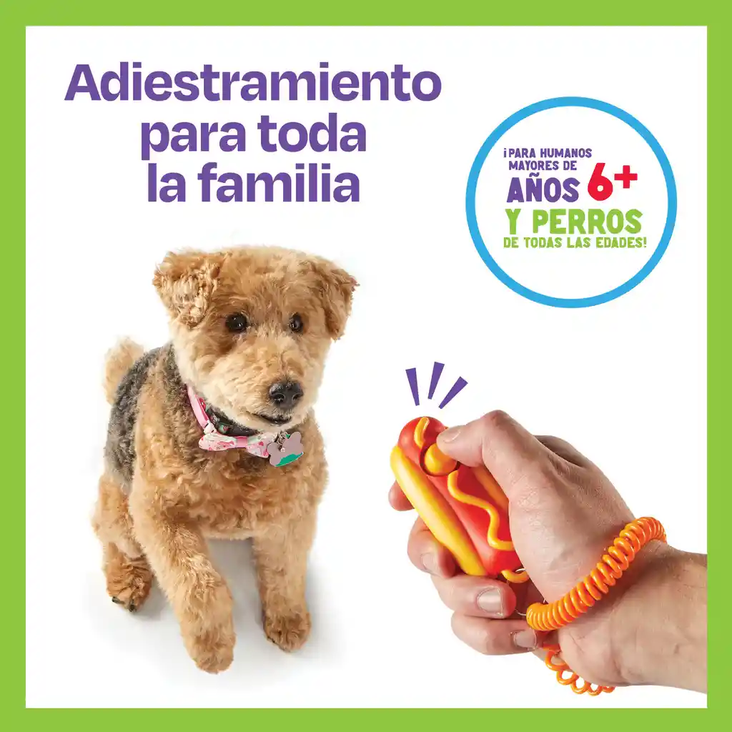 Perro Caliente De Entrenamiento Para Perros