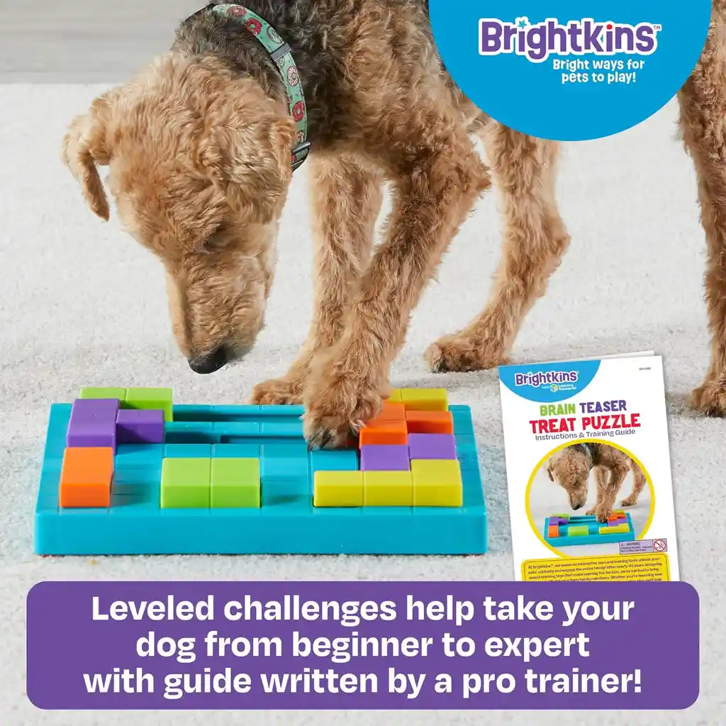 Brightkins™ Dog Block Treat Puzzle