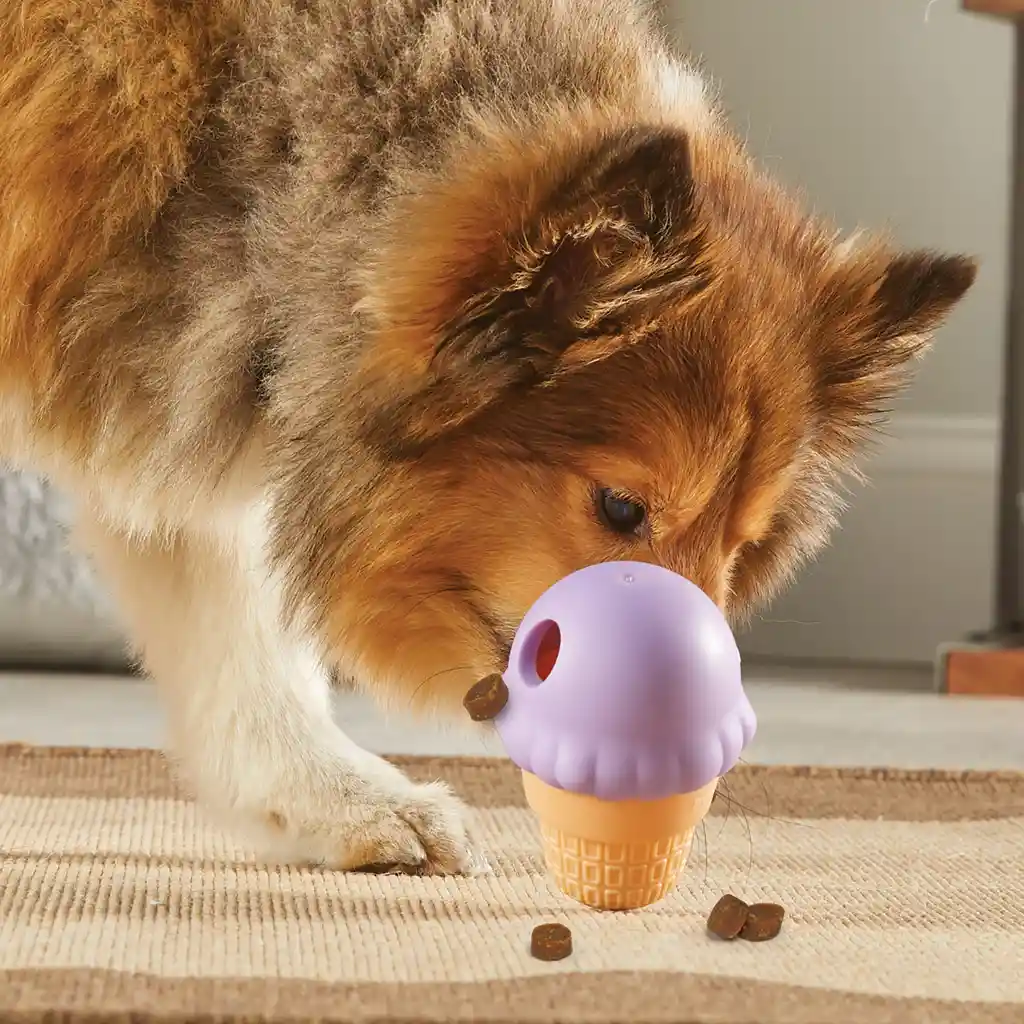 Dispensador De Comida De Perro - Tipo Helado