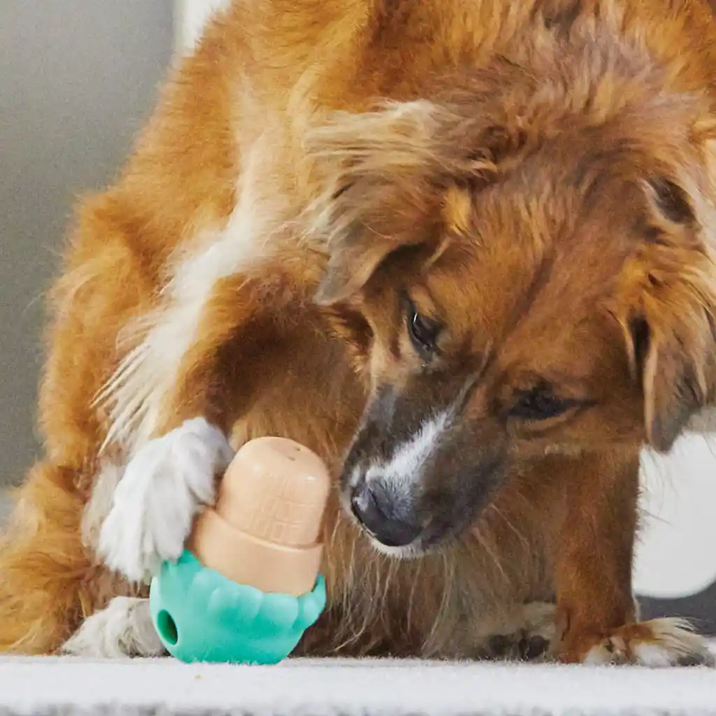 Dispensador De Comida Para Perro - Helado Grande