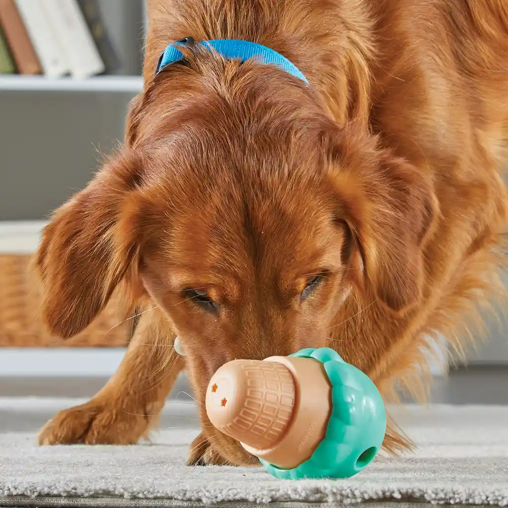 Dispensador De Comida Para Perro - Helado Grande