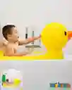Bañera De Pato