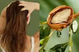 Aceite De Argan 7 Oleos Sobre Pal Plus 10ml