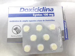Doxiciclina 100 Mg X Unidad Antibiotico Para Perros Y Gatos Doxiciclina Para Mascotas 100 Mg X Unidad X Pasta