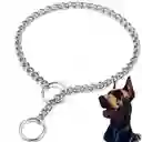 Collar Correa Cadena Ahogo Entrenamiento Ajustable Perro M