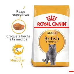 Royal Canin - Alimento Gato British Shorthair 2 Kg