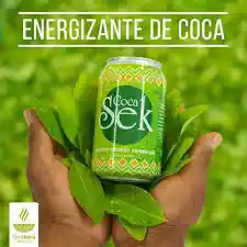 Coca Sek Bebida Energetica 330ml