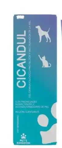 Cicandul X 100g