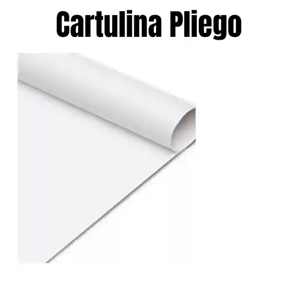 Cartulina Blanca Pliego