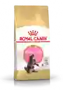 Royal Canin - Maine Coon Kitten 2 Kg