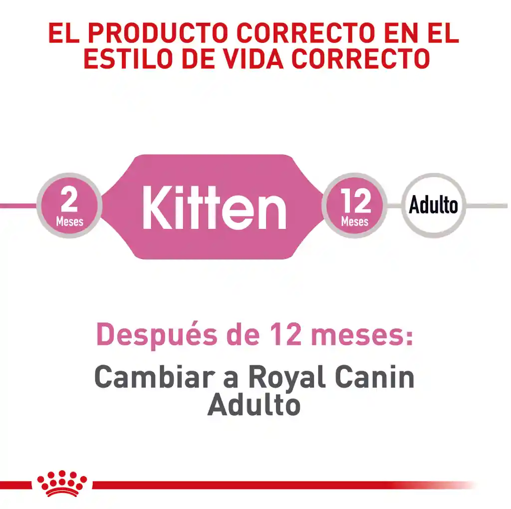 Royal Canin - Fhn Kitten 4 Kg