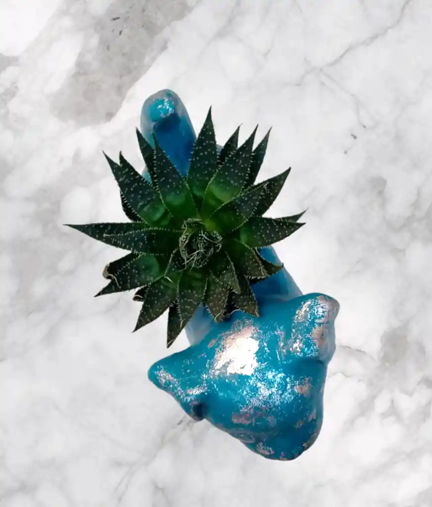 Planta Sabila En Matera De Ceramica Diseño Perrito Azul