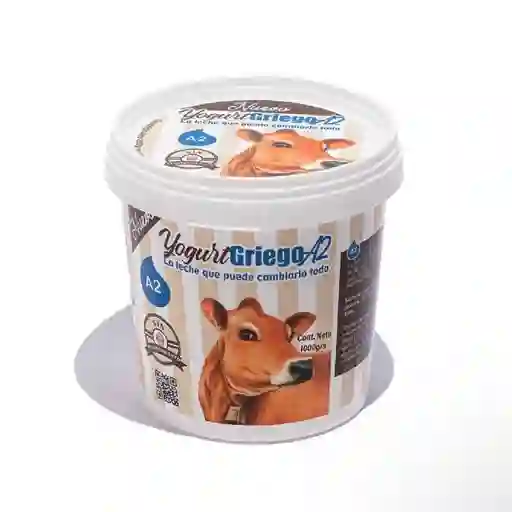 Yogurt Griego 1 Lt Sr