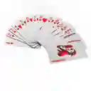 Juego De Cartas Poker – Edición Euro