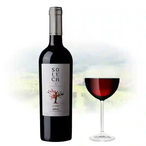 Vino Tinto Soleca Merlot