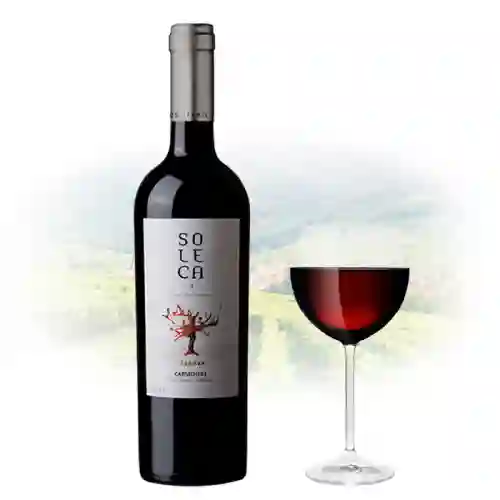 Vino Tinto Soleca Carmenere