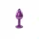 Plug Anal Metalico Talla S Dipsy Morado Camtoyz