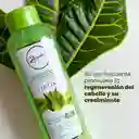 Anyeluz Shampoo Aloe Vera