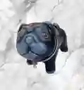 Matera En Cerámica Diseño Pug