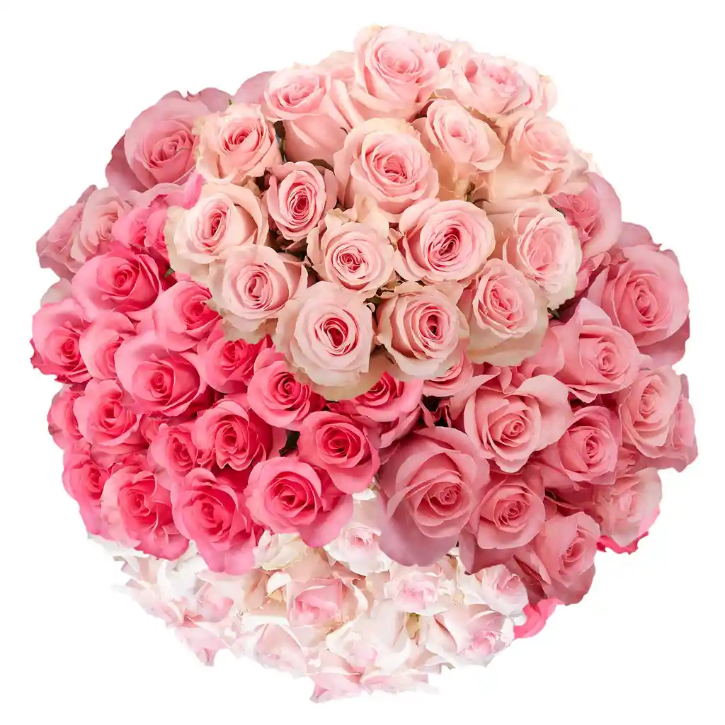 Bouquet De 12 Rosas Rosadas - Calidad De Exportación