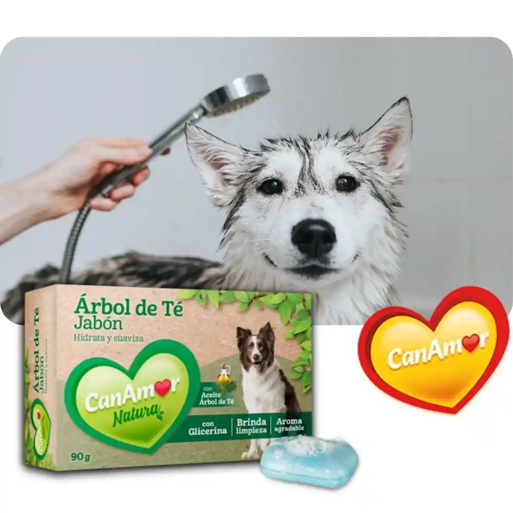 Jabon Canamor Arbol De Te Para Perros