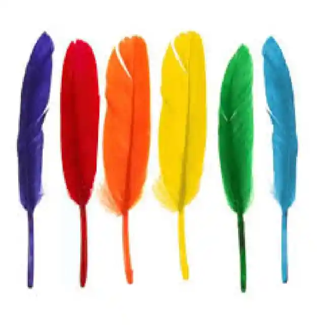 Plumas Colores Surtidos 20 Cms X 8 Unid