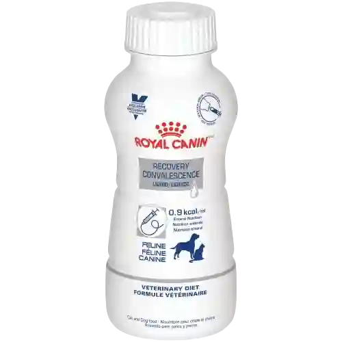 Royal Canin Botella Feline Renal Support X 237 Ml