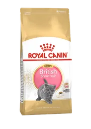 Royal Canin British Short Hair Kitten X 2 Kg