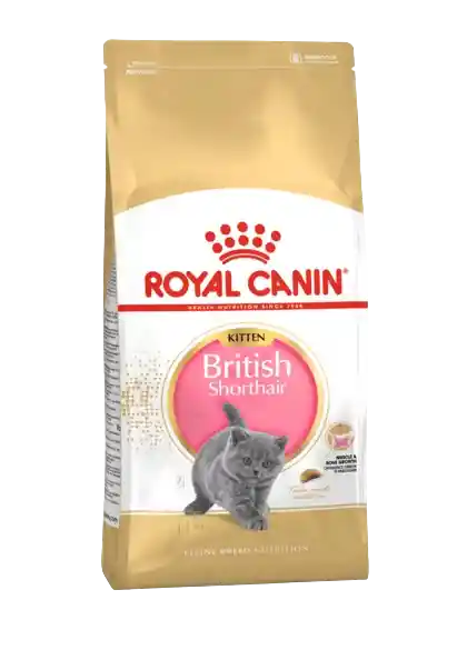 Royal Canin British Short Hair Kitten X 2 Kg