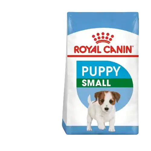 Royal Canin Promo Mini Puppy X 4kg Grs 500gr