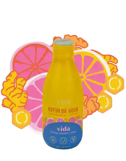 Kefir Agua Vida (cúrcuma, Jengibre Y Pomelo) 280ml