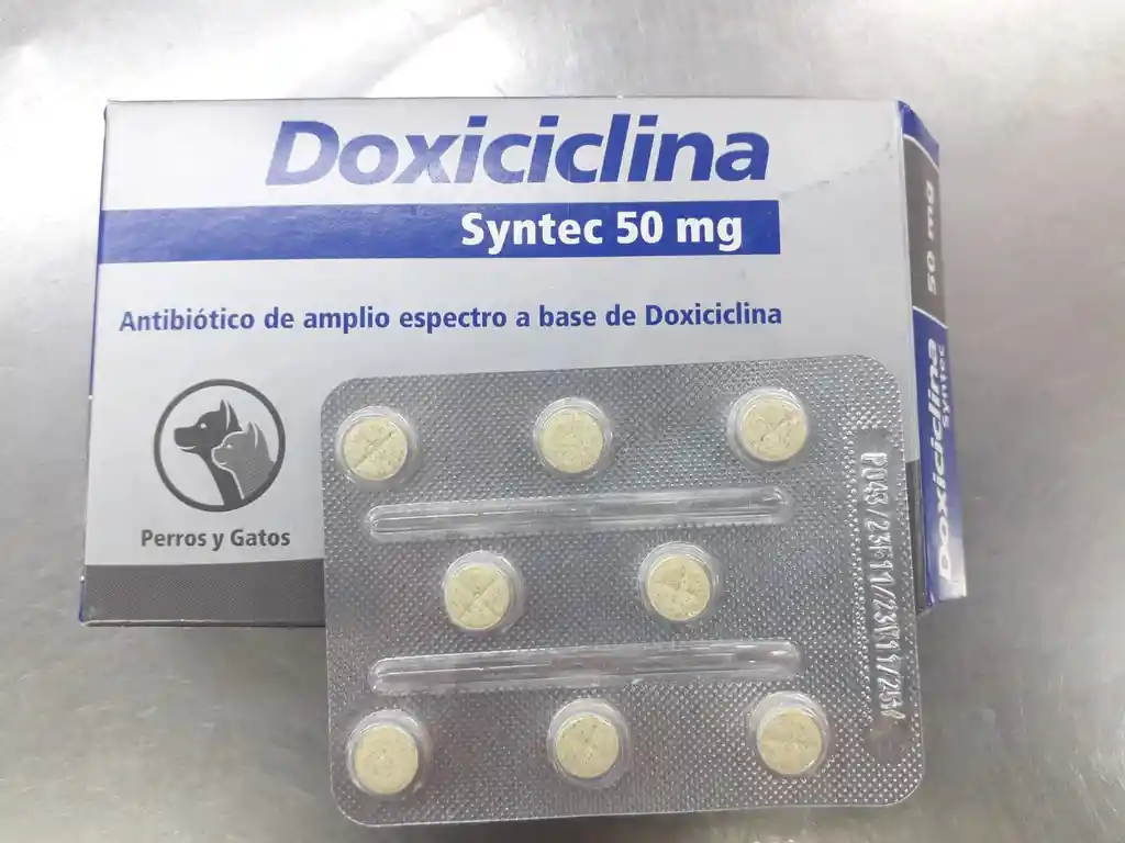 Doxiciclina 50 Mg X Unidad Antibiotico Para Perros Y Gatos Doxiciclina Para Mascotas 50 Mg X Unidad X Pasta
