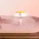 Fuente De Agua Para Gatos Con Comedero