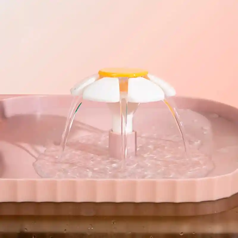 Fuente De Agua Para Gatos Con Comedero