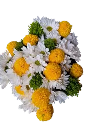 Bouquet Multicolor