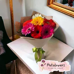 Flores Gerberas