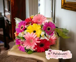 Flores Gerberas Y Astromelias