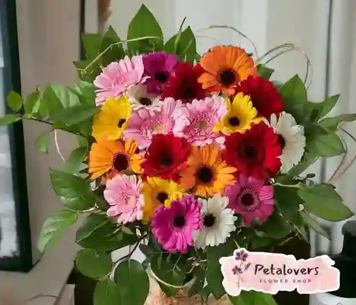 Flores Amor Y Amistad Gerberas Surtidas, 20