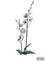 Orquidea Phalaenopsis De Dos Varas Blanca