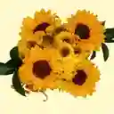 Bouquet Mini De Girasoles