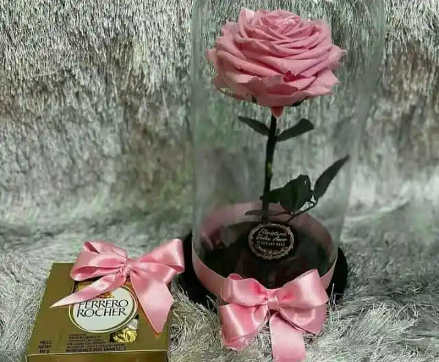 Rosa Rosada Preservada Y Ferrero