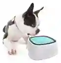 Bebedero Antiderrame Perros Y Gatos