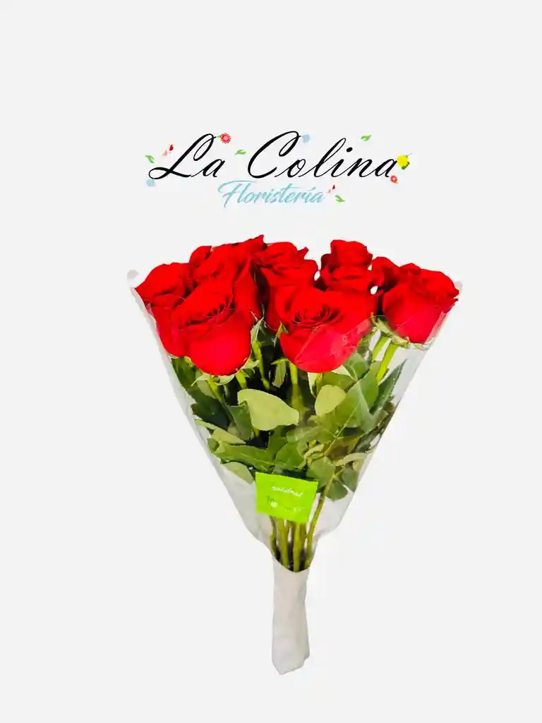 Rosas De Exportación