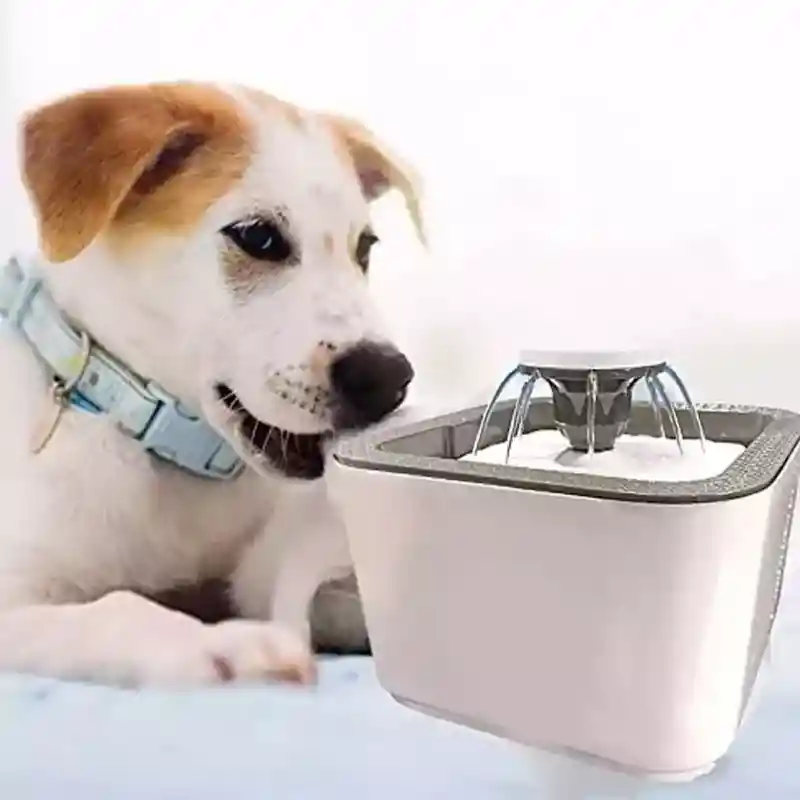 Bebedero Fuente De Agua Para Gatos Electrica Para Mascotas Con Huellita