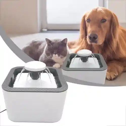 Bebedero Fuente De Agua Para Gatos Electrica Para Mascotas Con Huellita