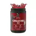 Six Star Pro Nutrition Creatina X3 En Polvo Fruit Punch 2.19 Lbs.(993g)