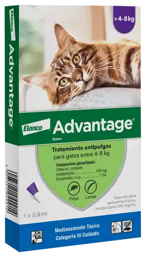 Advantage Gatos Hasta 4 A 8 Kg Antipulgas Para Gatos Advantage Para Gatos 4 A 8kg